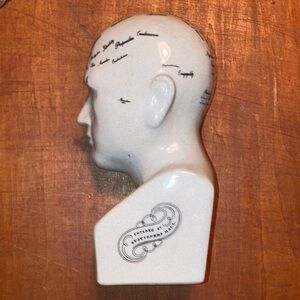 Vintage Ceramic Phrenology Head Bust L.N. Fowler Crackle Glaze Psychology Decor